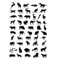 Animal vector image