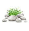 Green grass in stones as vector image