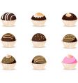 Cupcakes vector image
