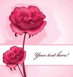 Rose background vector image