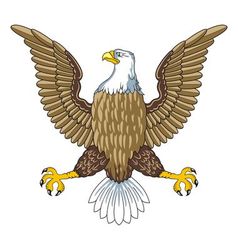 American bald eagle vector image