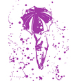 Umbrella vector image