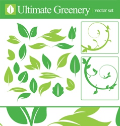Ultimate greenery set vector image