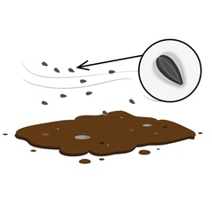 Seedlings soil vector image