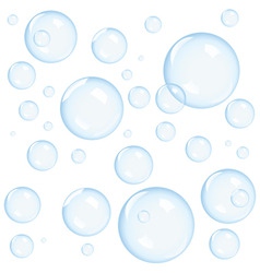 Bubbles vector image
