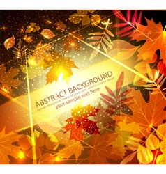 Autumn leaves vector image