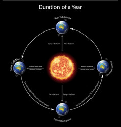 diagram showing duration a year with earth vector image