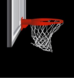 Basketball hop vector image