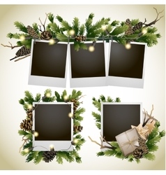 Christmas card with coniferous design vector image