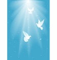 Three white dove vector image