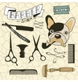 Set of vintage barber shop and hairdresser vector image