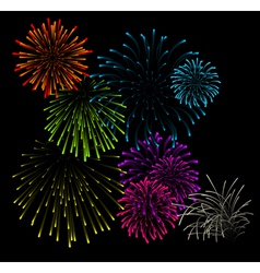 Set of fireworks vector image