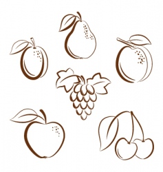 Fruits icons vector image