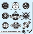 Hockey Champs Labels vector image