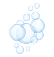 Soap bubbles vector image