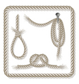 Set of ropes vector image