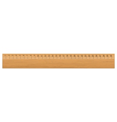 Wooden ruler vector image