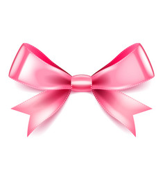 Pink bow isolated on white vector image