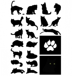 Cat vector image