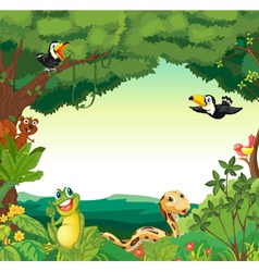 Forest scene vector image