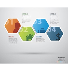 Hexagon infographic vector image