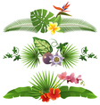 Tropical borders vector image
