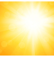 Yellow sun background vector image