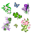 Flower Set vector image