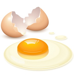 Broken egg vector image
