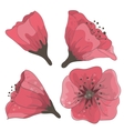 Set of hand drawn flowers vector image