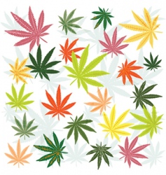 Marijuana leaves vector image