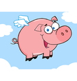 Happy Pig Flying In A Sky vector image