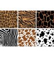 Animal skin prints vector image