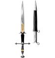 Sword rose vector image