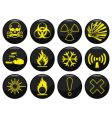 Hazard icon vector image