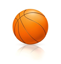 Basketball vector image