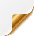 Gold corner vector image