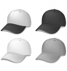 Baseball caps black and grey vector image