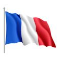 Flag of france vector image