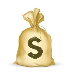 Moneybag vector image