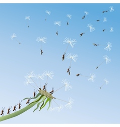 Dandelion on a background blue sky vector image