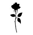 Rose black silhouette vector image