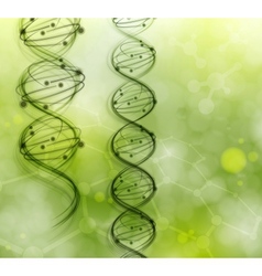 Dna strand background vector image