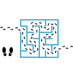 Maze Solutions vector image