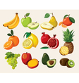 A set of delicious fruit vector image