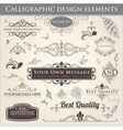 Calligraphic Design Elements vector image