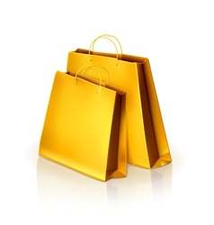 Paper bags vector image