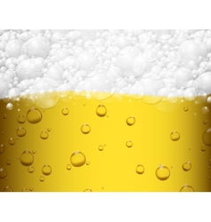 Beer background vector image