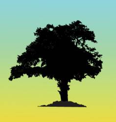 Tree silhouette vector image