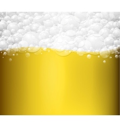 Beer background vector image